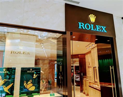 tampa rolex dealer|authorized Rolex dealer Tampa.